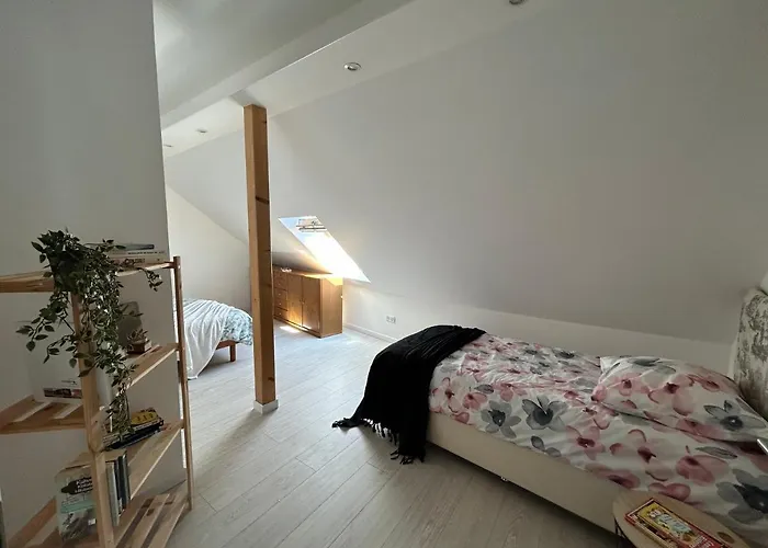 Ma Maison * Kintzheim